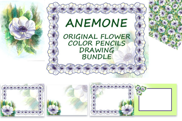 Anemone Flower Color Pencils Set: A Designer's Toolkit