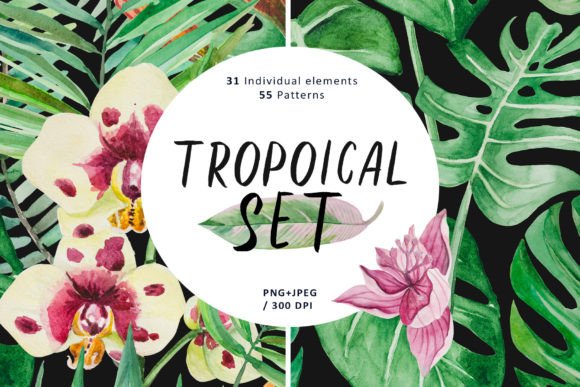 Bringing the Tropics to Your Designs with the Tropical Set