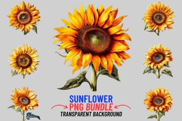 Elevate Your Projects with Sunflower 12 PNG Clipart Sublimation